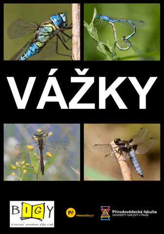 plakát