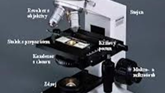 Laborky z biologie