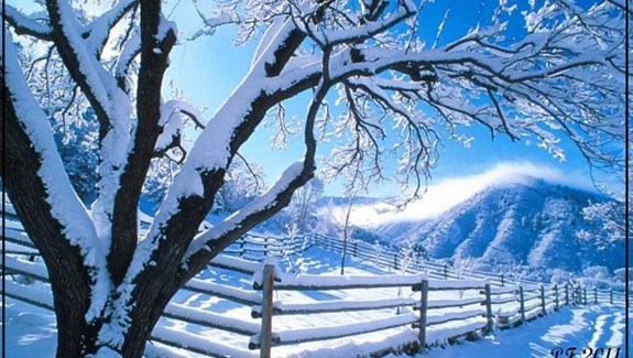 Joyeux Noël et Bonne Année!