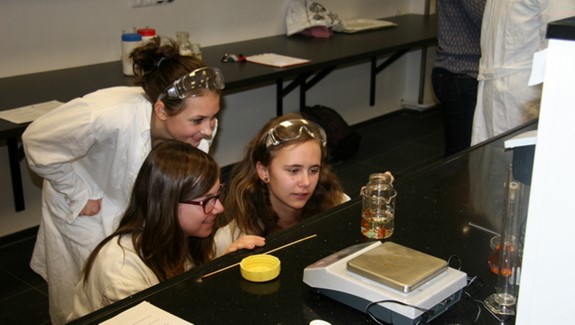 Témata ročníkových prací z chemie 2017/18