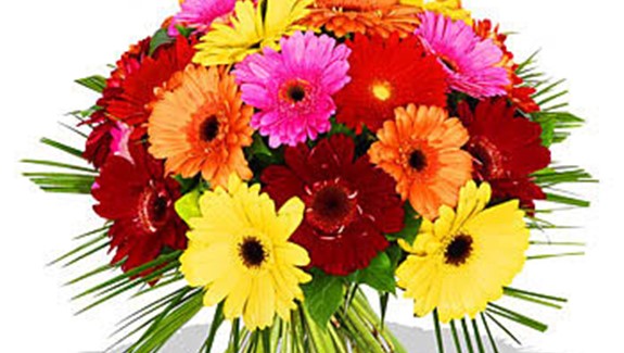 Druhé a třetí místo v krajském kole