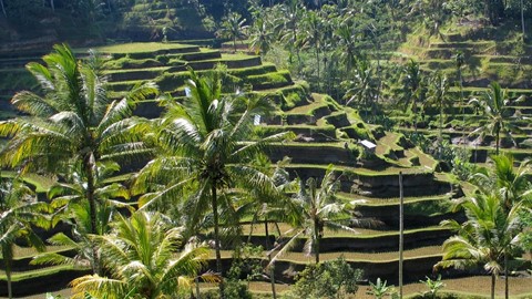 Přednáška o Bali