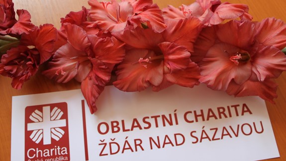 Spolupráce s Kambalou