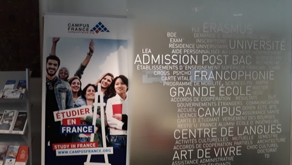 Francouzský institut