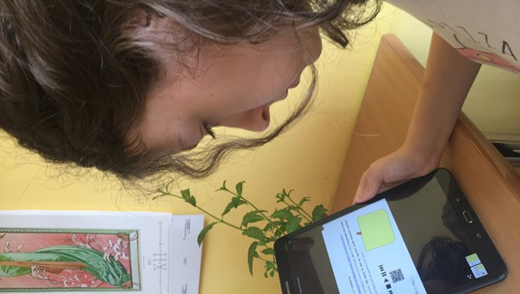 Naše studentky na týdenním online německém kurzu